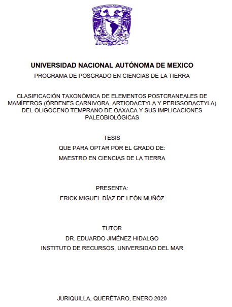 Portada de la tesis de maestría